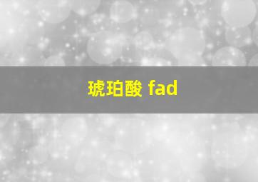 琥珀酸 fad